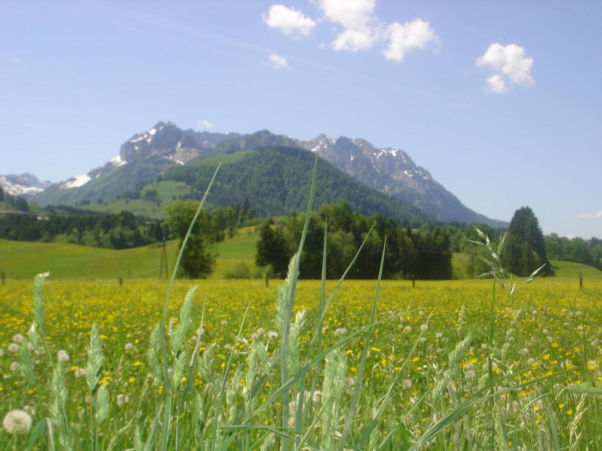 Bio-Bauernhof Bachangerhof Кёссен Экстерьер фото