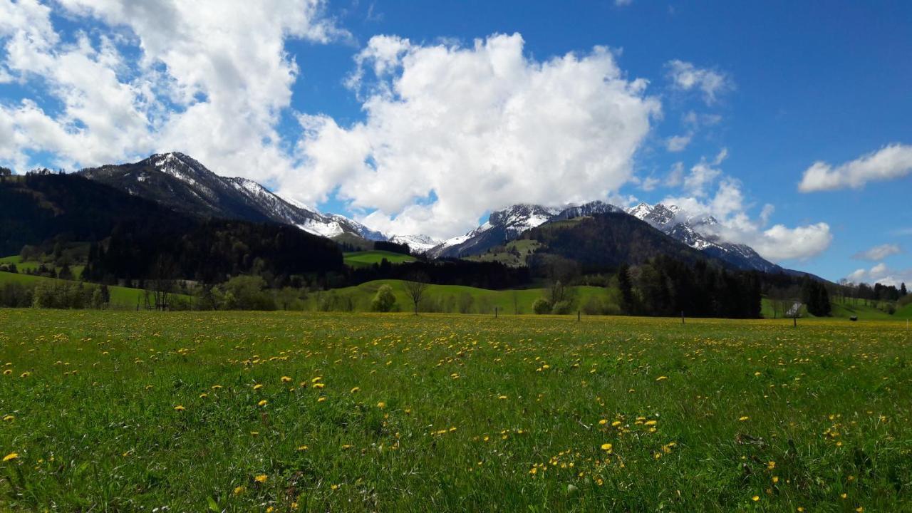 Bio-Bauernhof Bachangerhof Кёссен Экстерьер фото