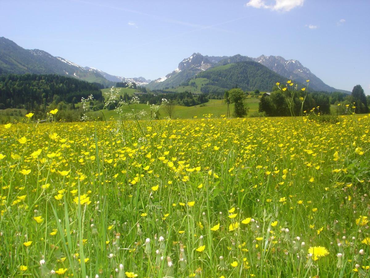 Bio-Bauernhof Bachangerhof Кёссен Экстерьер фото
