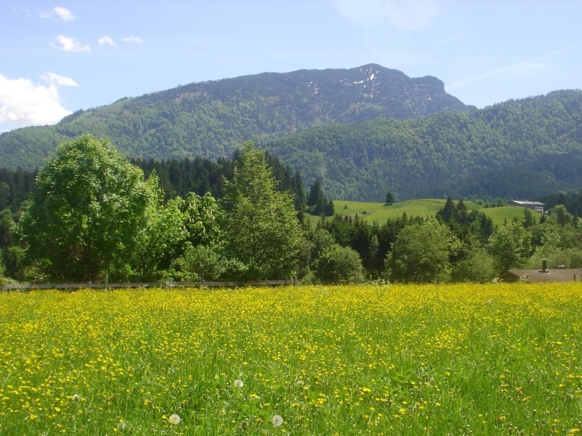 Bio-Bauernhof Bachangerhof Кёссен Экстерьер фото