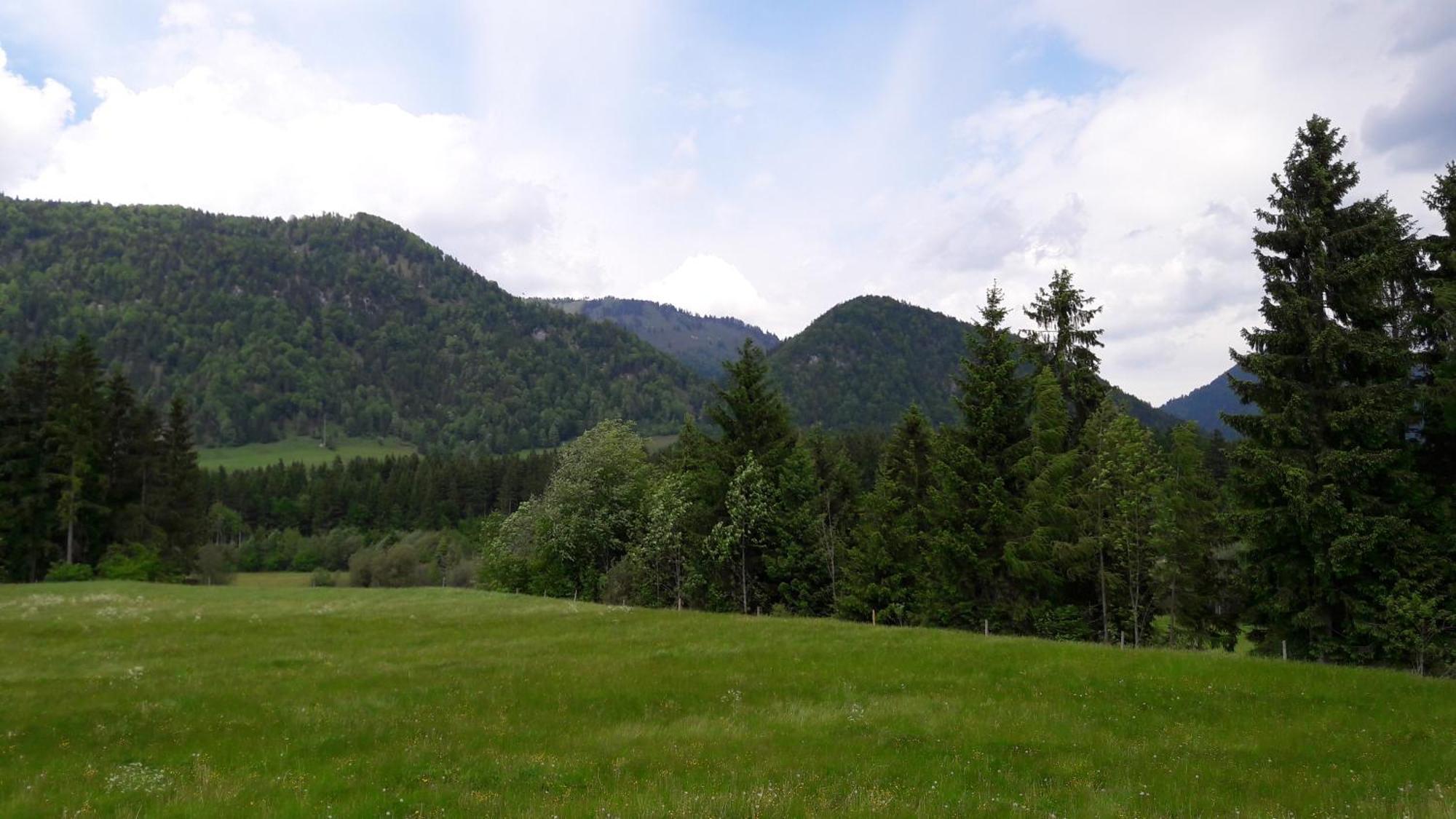 Bio-Bauernhof Bachangerhof Кёссен Экстерьер фото