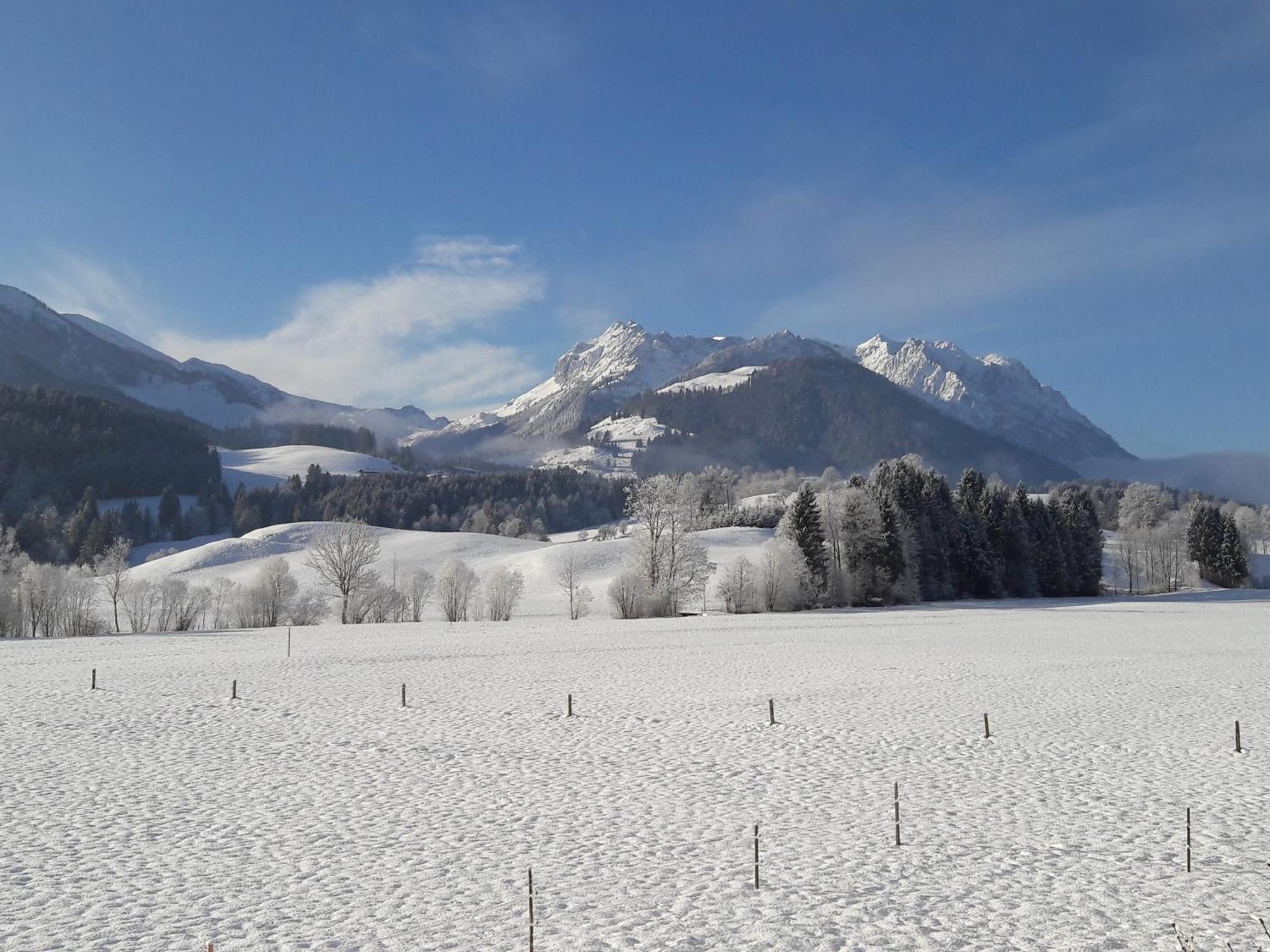 Bio-Bauernhof Bachangerhof Кёссен Экстерьер фото