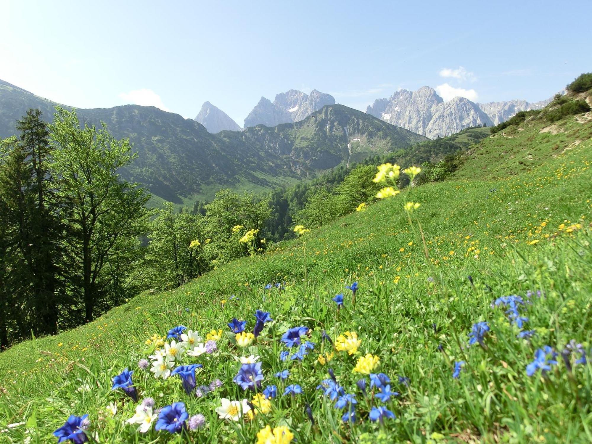 Bio-Bauernhof Bachangerhof Кёссен Экстерьер фото